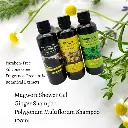 [8 herbs] ginger-shampoo-100_02.webp