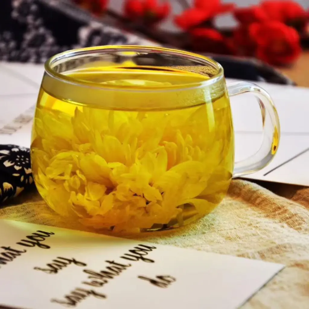 [8 herbs] premium-chrysanthemum -flowers_04.webp