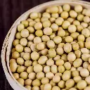 organic-soy-bean-02.webp
