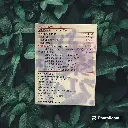 [DYNAMIC NUTRITION] Uri-Comfort (5g x 10)_03.webp