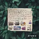 [VESPRO] Live Essence Liquid Enzymes Concentrate_02.webp