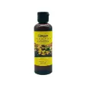 [8 HERBS] Ginger Shampoo (100ml)